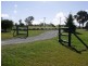 296 New England Highway, Tenterfield NSW 2372