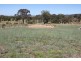 Lot 3,  Neagles Lane, Tenterfield NSW 2372