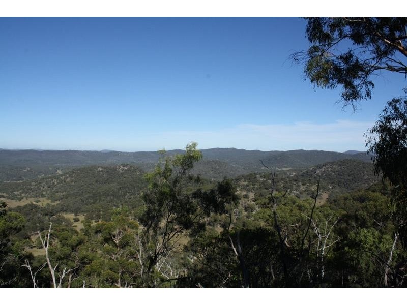 Lot 38,  Gunyah Road, Tenterfield NSW 2372