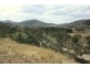 Lot 107,  Mole River Road, Tenterfield NSW 2372