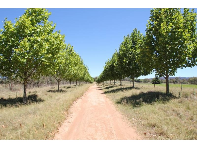 Lot 14,  Bruxner Highway, Tenterfield NSW 2372