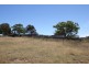 Lot 14,  Bruxner Highway, Tenterfield NSW 2372