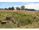 Lot 14,  Bruxner Highway, Tenterfield NSW 2372