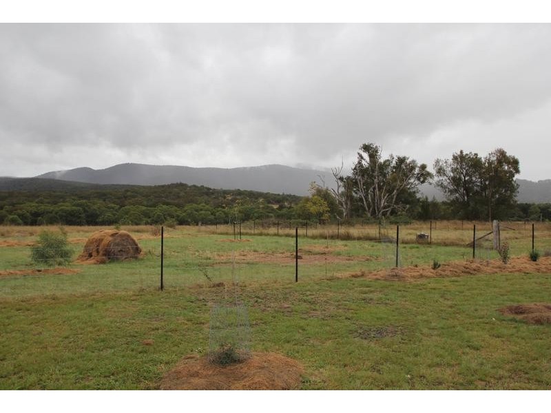 Tenterfield NSW 2372