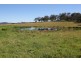 Lot 18, Scrub Road, Tenterfield NSW 2372