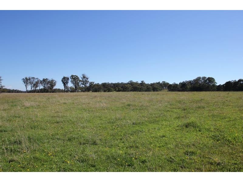 Lot 18, Scrub Road, Tenterfield NSW 2372