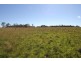 Lot 18, Scrub Road, Tenterfield NSW 2372