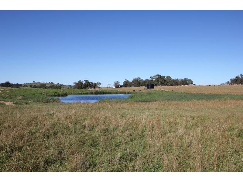 Lot 1, Scrub Road, Tenterfield NSW 2372