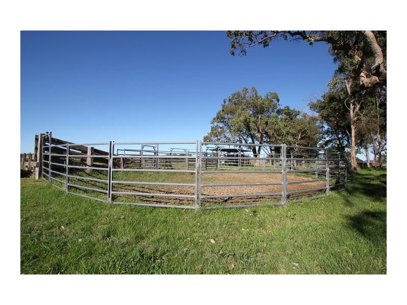 Lot 1, Scrub Road, Tenterfield NSW 2372