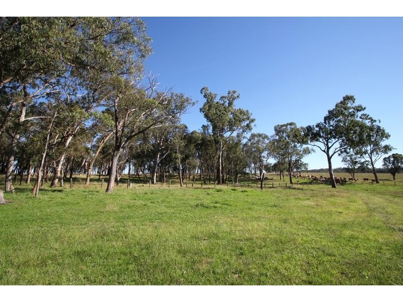 Lot 1, Scrub Road, Tenterfield NSW 2372