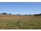 Lot 1, Scrub Road, Tenterfield NSW 2372