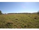 Lot 1, Scrub Road, Tenterfield NSW 2372