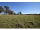 Lot 1, Scrub Road, Tenterfield NSW 2372