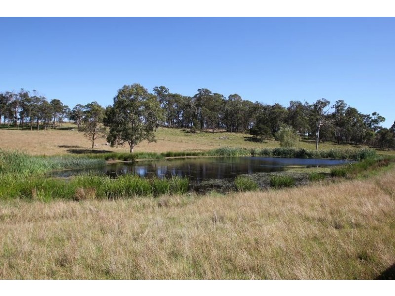 Lot 25,  Scrub Road, Tenterfield NSW 2372