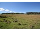 Lot 25,  Scrub Road, Tenterfield NSW 2372