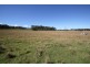 Lot 25,  Scrub Road, Tenterfield NSW 2372