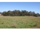 Lot 25,  Scrub Road, Tenterfield NSW 2372