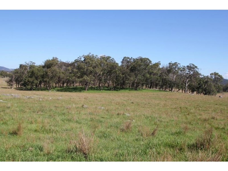 Lot 25,  Scrub Road, Tenterfield NSW 2372