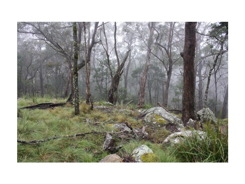 Lot 2,  Mt Mackenzie, Tenterfield NSW 2372
