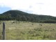 Lot 29,  Bruxner Highway, Tenterfield NSW 2372