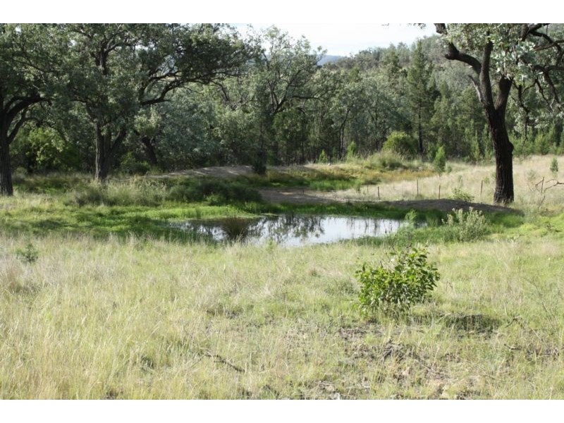 Lot 29,  Bruxner Highway, Tenterfield NSW 2372