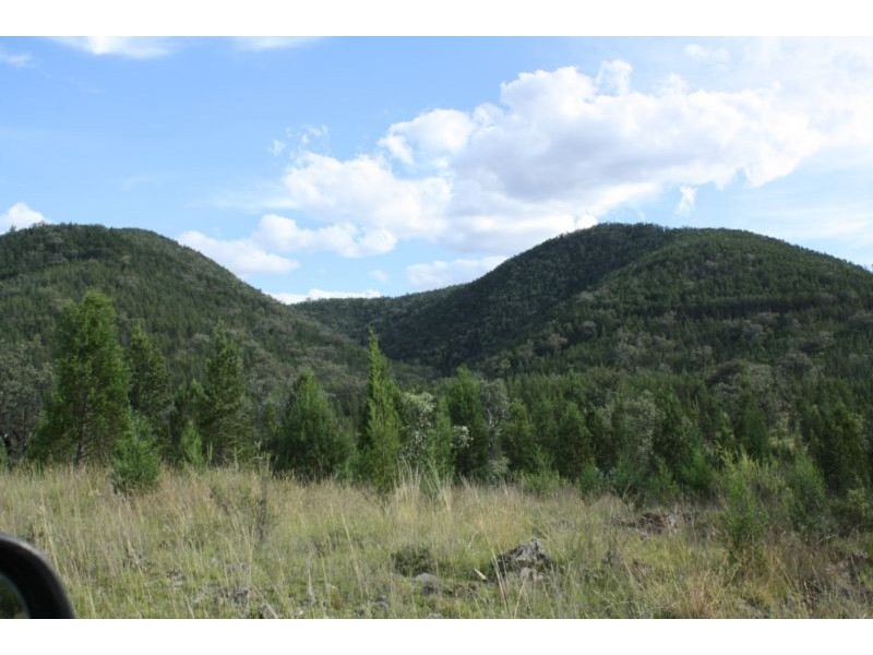 Lot 29,  Bruxner Highway, Tenterfield NSW 2372