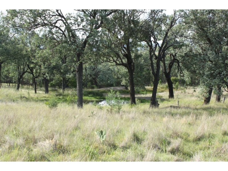 Lot 29,  Bruxner Highway, Tenterfield NSW 2372