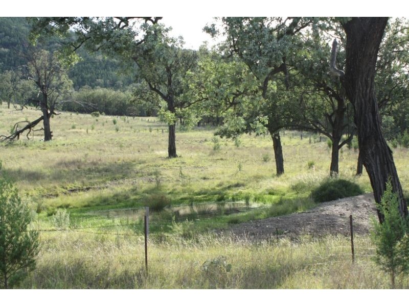 Lot 29,  Bruxner Highway, Tenterfield NSW 2372