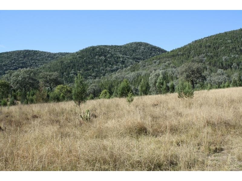Lot 29,  Bruxner Highway, Tenterfield NSW 2372