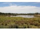 Lot 15, 1035 Bruxner Highway, Tenterfield NSW 2372