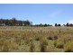 Lot 15, 1035 Bruxner Highway, Tenterfield NSW 2372