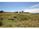 Lot 15, 1035 Bruxner Highway, Tenterfield NSW 2372