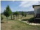 Lot 3, Sunnyside Platform Road, Tenterfield NSW 2372