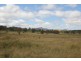Lot 68,  Bruxner Highway, Tenterfield NSW 2372