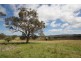 Lot 68,  Bruxner Highway, Tenterfield NSW 2372