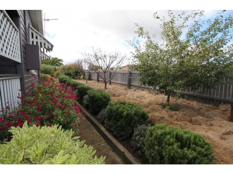 228 Bulwer Street, Tenterfield NSW 2372