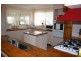 296 New England Highway, Tenterfield NSW 2372