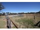 50 Robinson Lane, Tenterfield NSW 2372