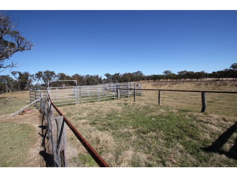50 Robinson Lane, Tenterfield NSW 2372