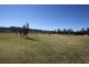 50 Robinson Lane, Tenterfield NSW 2372