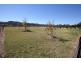 50 Robinson Lane, Tenterfield NSW 2372