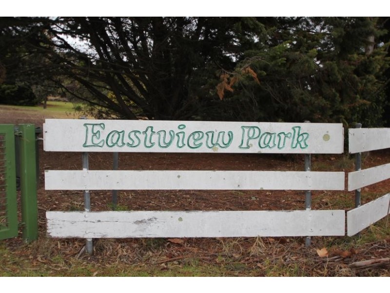 91 Clive Street, Tenterfield NSW 2372