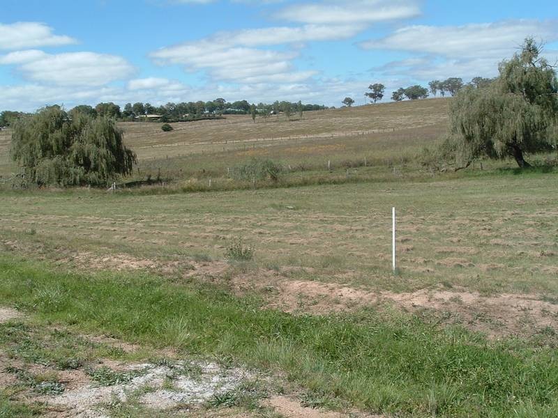 Tenterfield NSW 2372