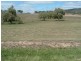 Tenterfield NSW 2372