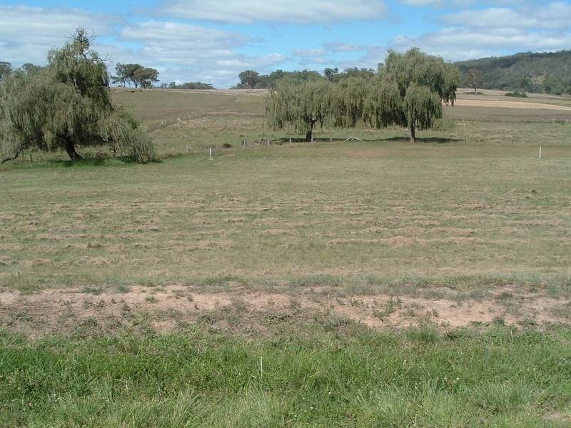 Tenterfield NSW 2372