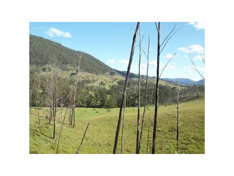 Tenterfield NSW 2372