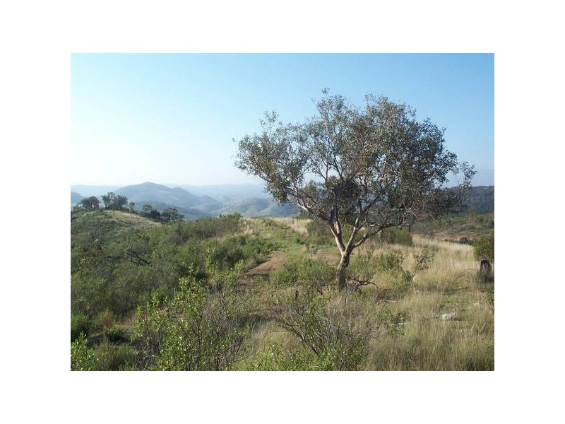 Mount View, Tenterfield NSW 2372