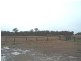 Tenterfield NSW 2372