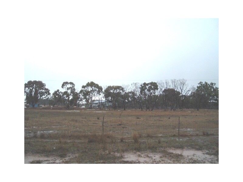 Tenterfield NSW 2372