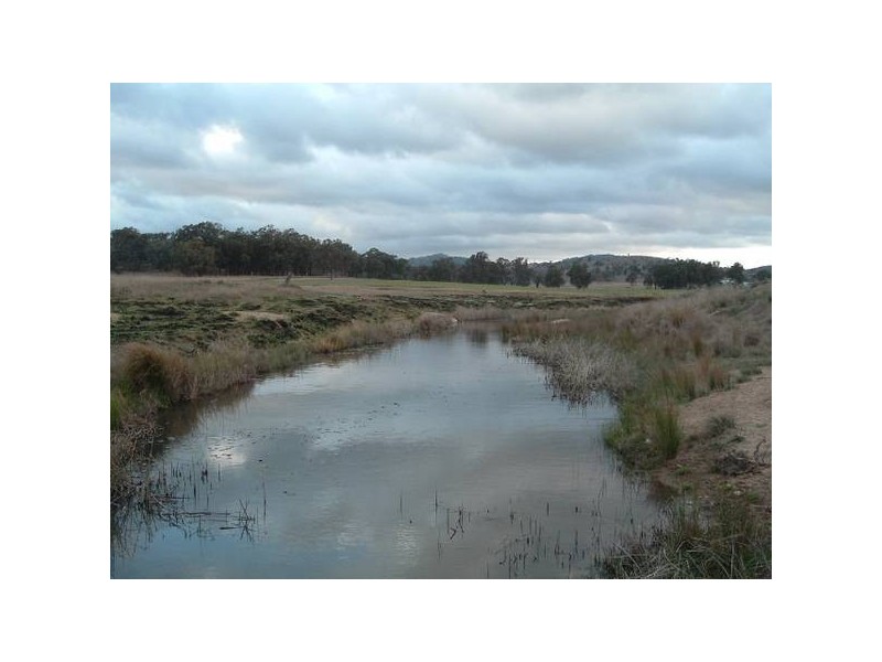 Tenterfield NSW 2372